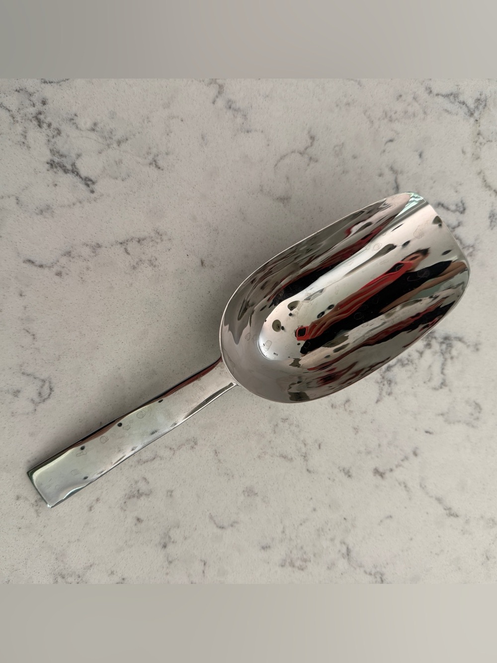 Michael Aram Ice Scoop in Polished Silver